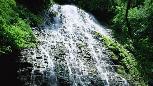 独特高标准节能